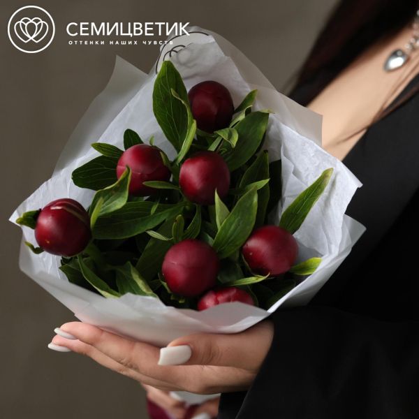 Букет из 7 бордовых пионов Standart Plus