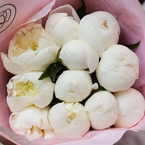 Букет из 11 белых пионов Standart Plus в розовой пленке