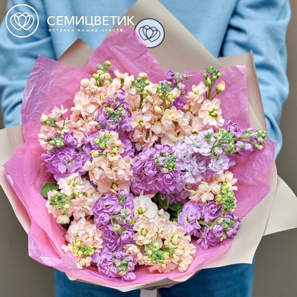 Букет из 21 кремовой и сиреневой махровой маттиолы