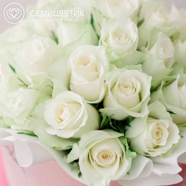 Букет в розовой шляпной коробке Amour Mini из 31 белой розы (Кения)