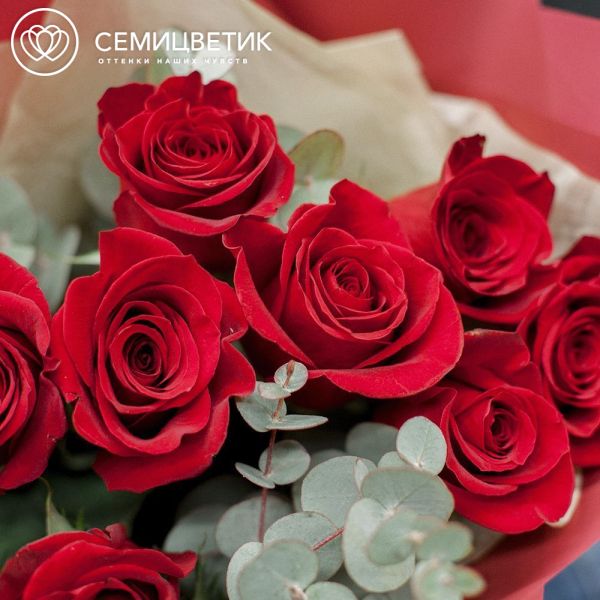 Букет из 9 красных роз Freedom 50 см (Эквадор) с эвкалиптом