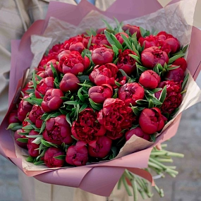 Букет из 51 бордового пиона Standart в розовой пленке