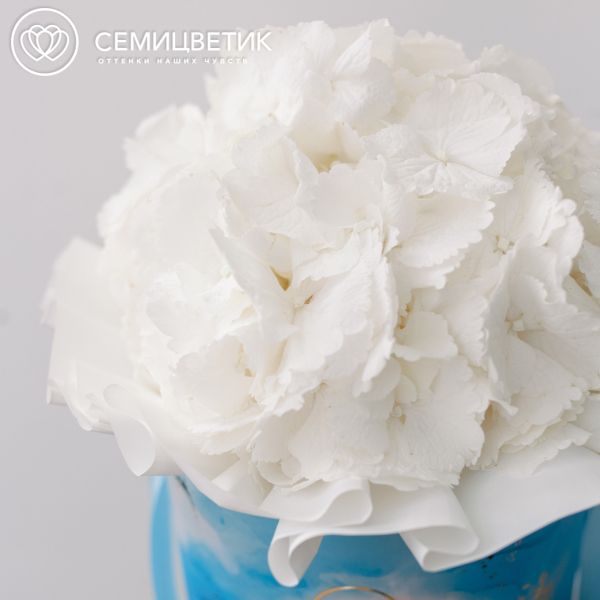 Букет в голубой шляпной коробке Amour Mini из 3 белых гортензий