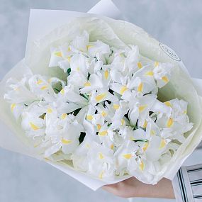 Букет из 25 белых ирисов