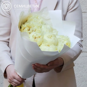 Букет из 7 лимонных пионов Lemon Chiffon Premium в белой пленке