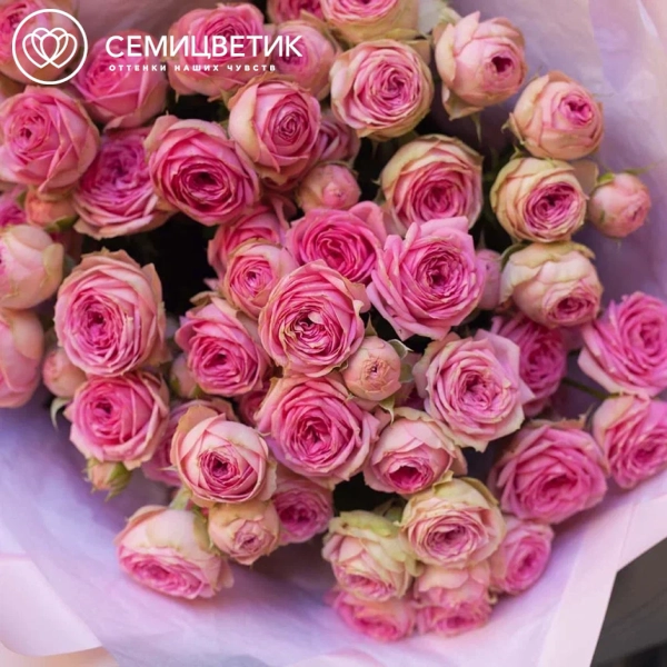 Букет из 9 розовых кустовых пионовидных роз 50 см (Россия)