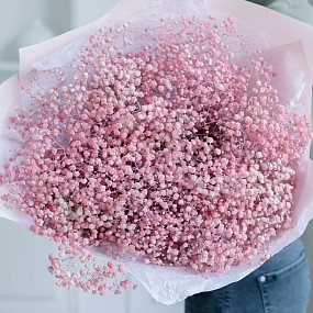 Монобукет  из 15 розовых гипсофил в розовой пленке