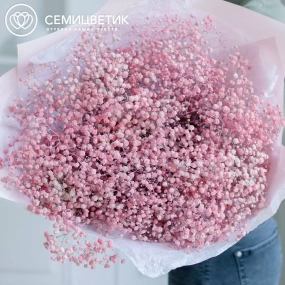 Букет из 15 розовых гипсофил в розовой пленке