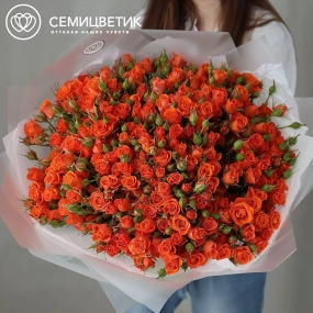 Букет из 51 оранжевой кустовой розы 40-50 см (Россия) в прозрачной упаковке