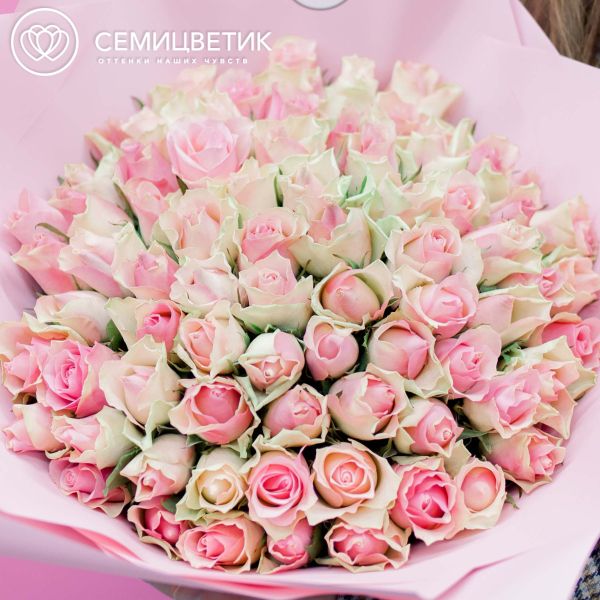 Букет из 51 розовой с фисташковой каймой розы 40 см (Кения)