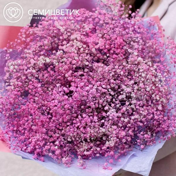 Букет из 25 розовых гипсофил в сиреневой пленке