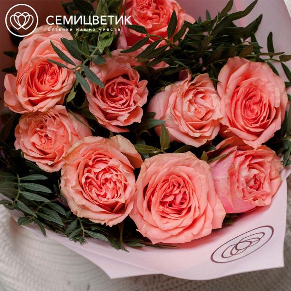 Букет из 9 кораллово-розовых пионовидных роз Wild Love 40 см с фисташкой в розовой пленке