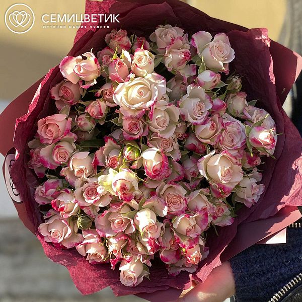 Букет из 15 белых с розовой каймой кустовых роз 40 см (Кения)