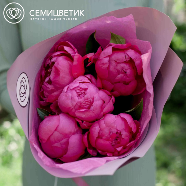 Букет из 5 ярко-розовых пионов Standart Plus в сиреневой пленке