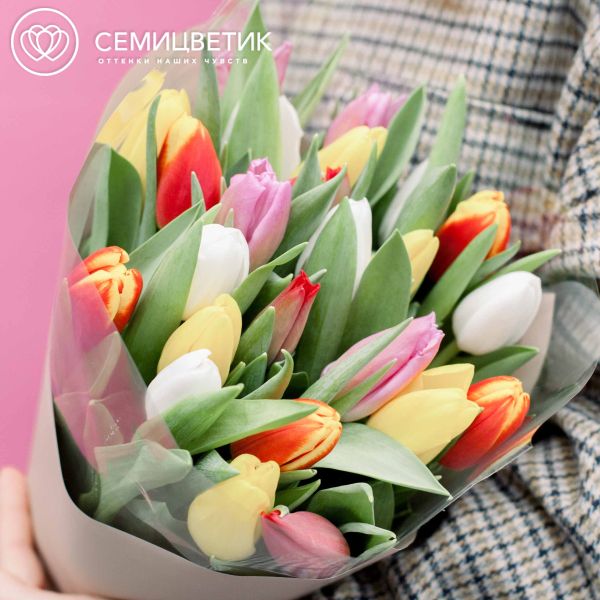Букет из 25 тюльпанов микс в кремовой пленке
