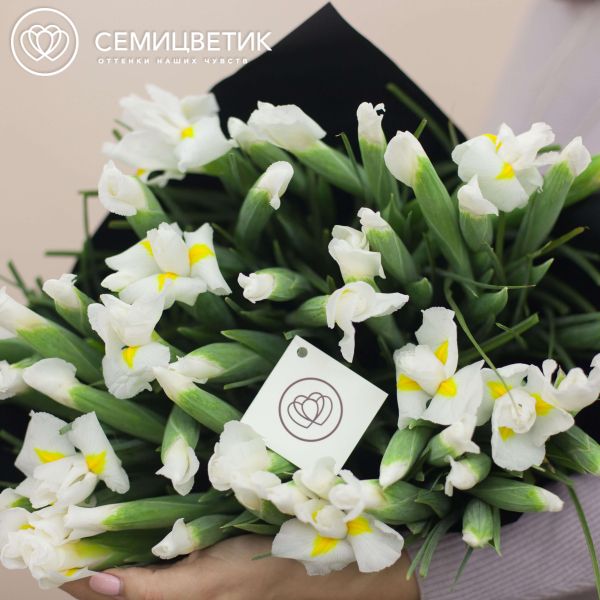 Букет из 51 белого ириса