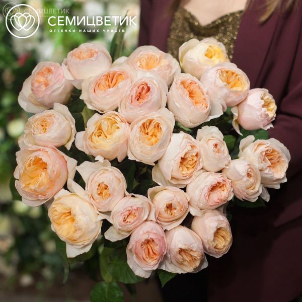 Букет из 25 персиковых пионовидных роз Juliet 50 см (Эквадор)