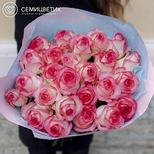 25 белых с розовой каймой роз (Россия) 70 см Джамиля