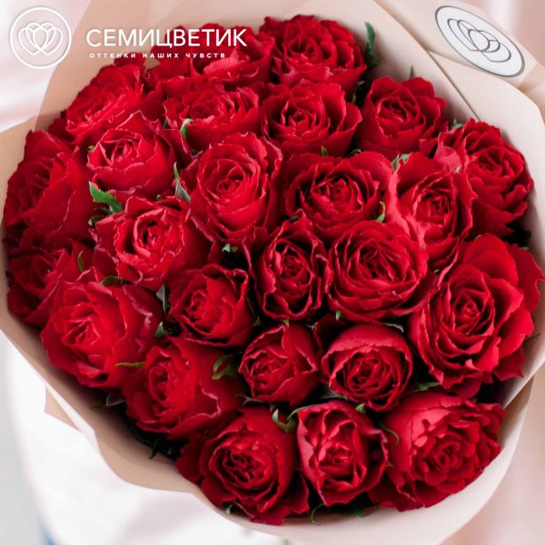 Букет из 25 красных роз (Кения) 40 см Standart в кремовой пленке