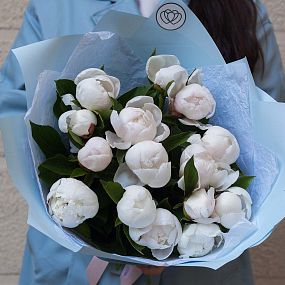 Букет из 15 нежно-розовых пионов Standart Plus