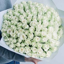Букет из 101 белой розы 40 см (Кения)