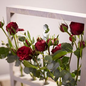 Деревянная рамка с красной пионовидной розой Red Piano и эвкалиптом