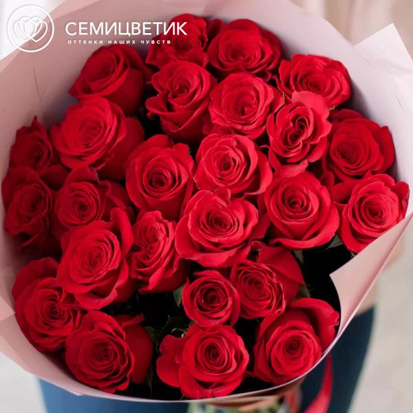 Букет из 25 красных роз Freedom 70 см (Эквадор) в розовой пленке
