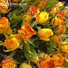 15 желтых с оранжевой каймой кустовых роз (Кения) 40 см