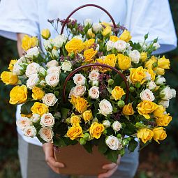 Композиция из 21 жёлтой и кремовых кустовых роз с лимониумом в сумочке