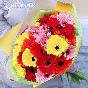 Монобукет  из 25 гербер мини микс