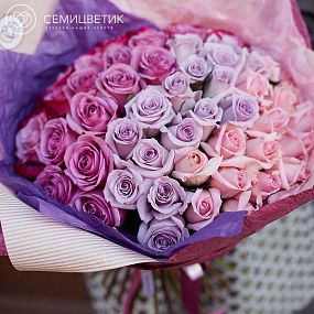 Розово-фиолетовый букет-градиент из 51 розы (Эквадор) 50 см