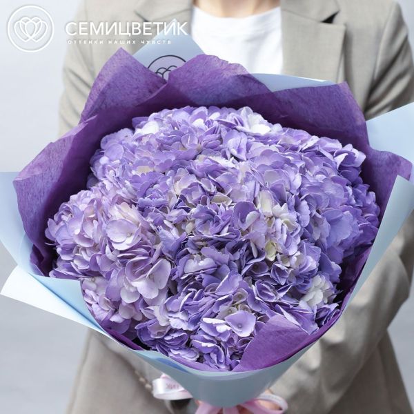 Букет из 5 сиреневых гортензий