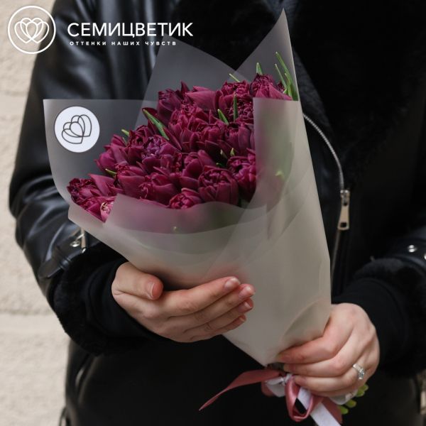 Букет из 25 темно-бордовых пионовидных тюльпанов