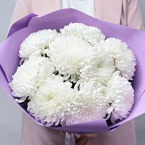 Монобукет  из 9 одноголовых белых хризантем в розовой пленке