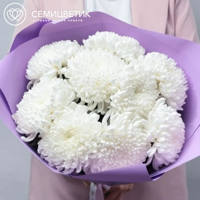 Букет из 9 одноголовых белых хризантем в розовой пленке