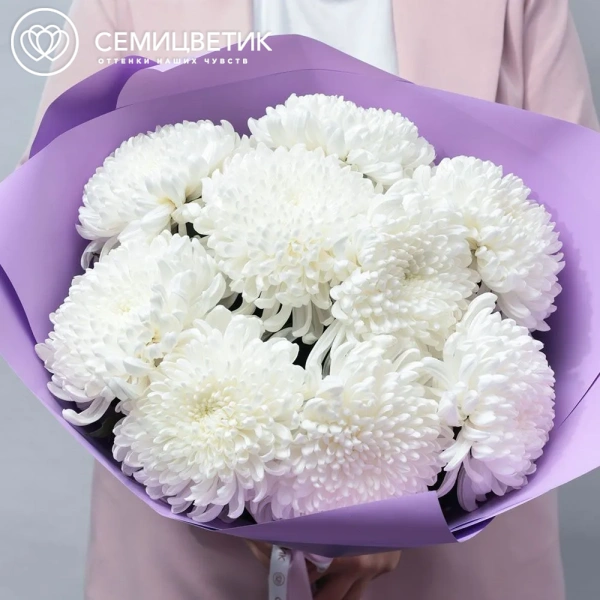 Букет из 9 одноголовых белых хризантем в розовой пленке