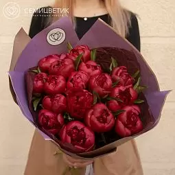 Букет из 15 темно-малиновых пионов Standart