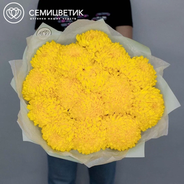 Букет из 15 одноголовых желтых хризантем