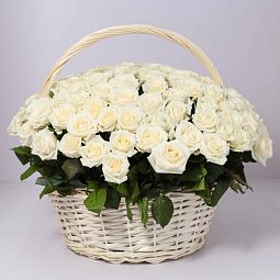 Композиция из 101 белой розы (Россия) в корзине