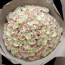 Букет из 101 белой и нежно-розовой розы 40 см (Кения) в кремовой пленке