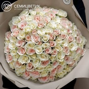 Букет из 101 белой и нежно-розовой розы 40 см (Кения) в кремовой пленке
