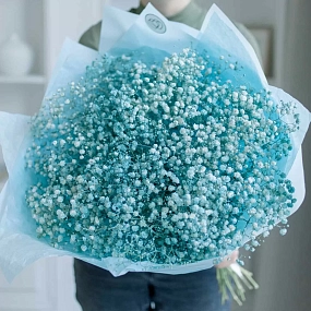 Монобукет  из 15 голубых гипсофил в голубой пленке