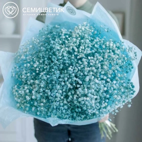 Букет из 15 голубых гипсофил в голубой пленке