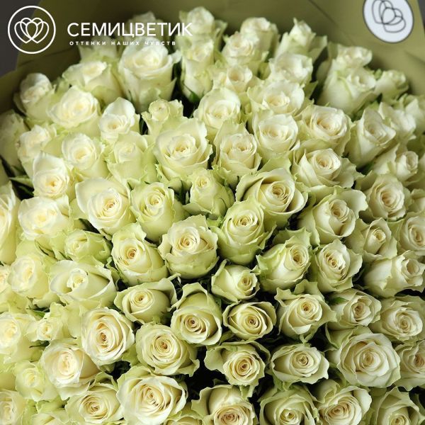 Букет из 101 белой розы 40 см (Кения)