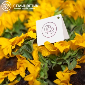 Букет из 25 подсолнухов в упаковке