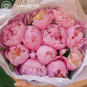Букет из 11 розовых пионов Premium в розовой пленке