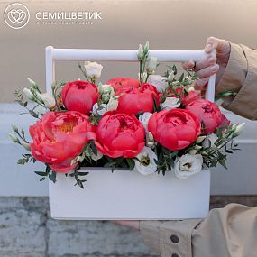 Деревянный ящик с 11 коралловыми пионами Coral Sunset Premium и лизиантусами