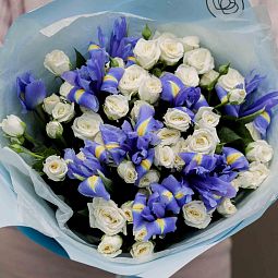 Букет из 13 белых кустовых роз 40 см (Кения) и 10 синих ирисов