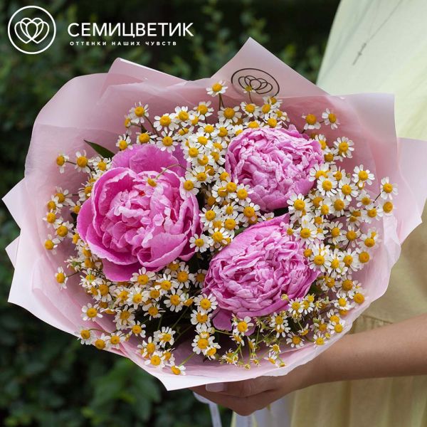 Букет из 3 розовых пионов Standart Plus и матрикарии