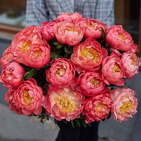 Композиция из 25 коралловых пионов Coral Sunset Premium в корзине